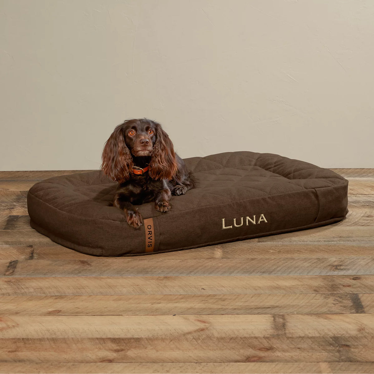ToughChew® Memory Foam Lounger Dog Bed - Orvis Best Price