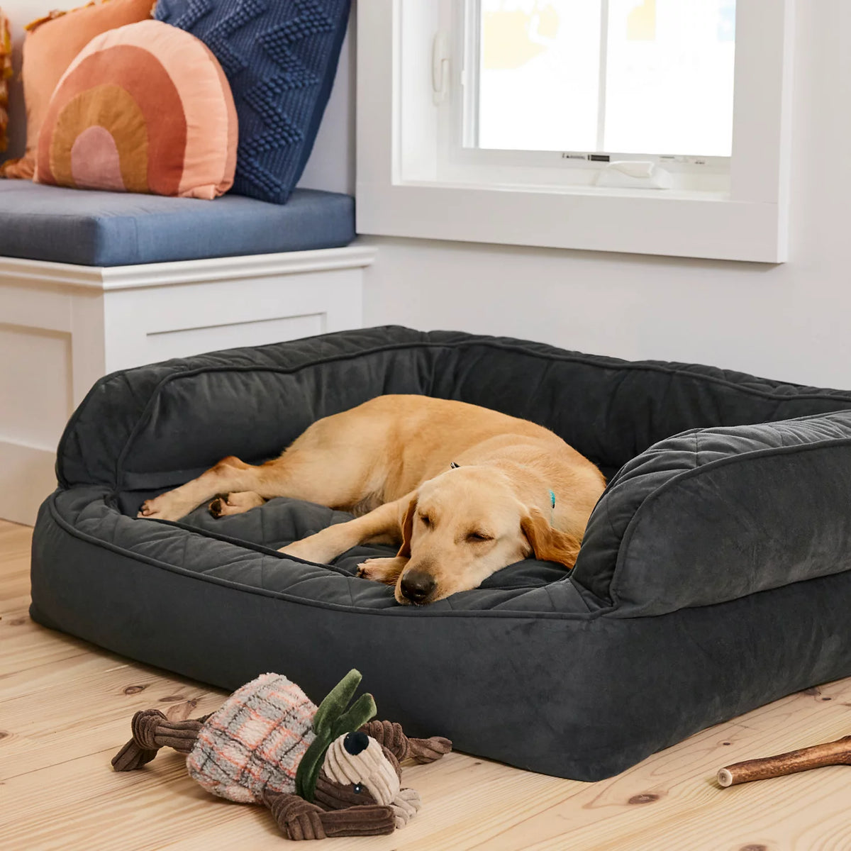 Orvis Memory Foam Deluxe Dog Bed - Orvis Best Seller