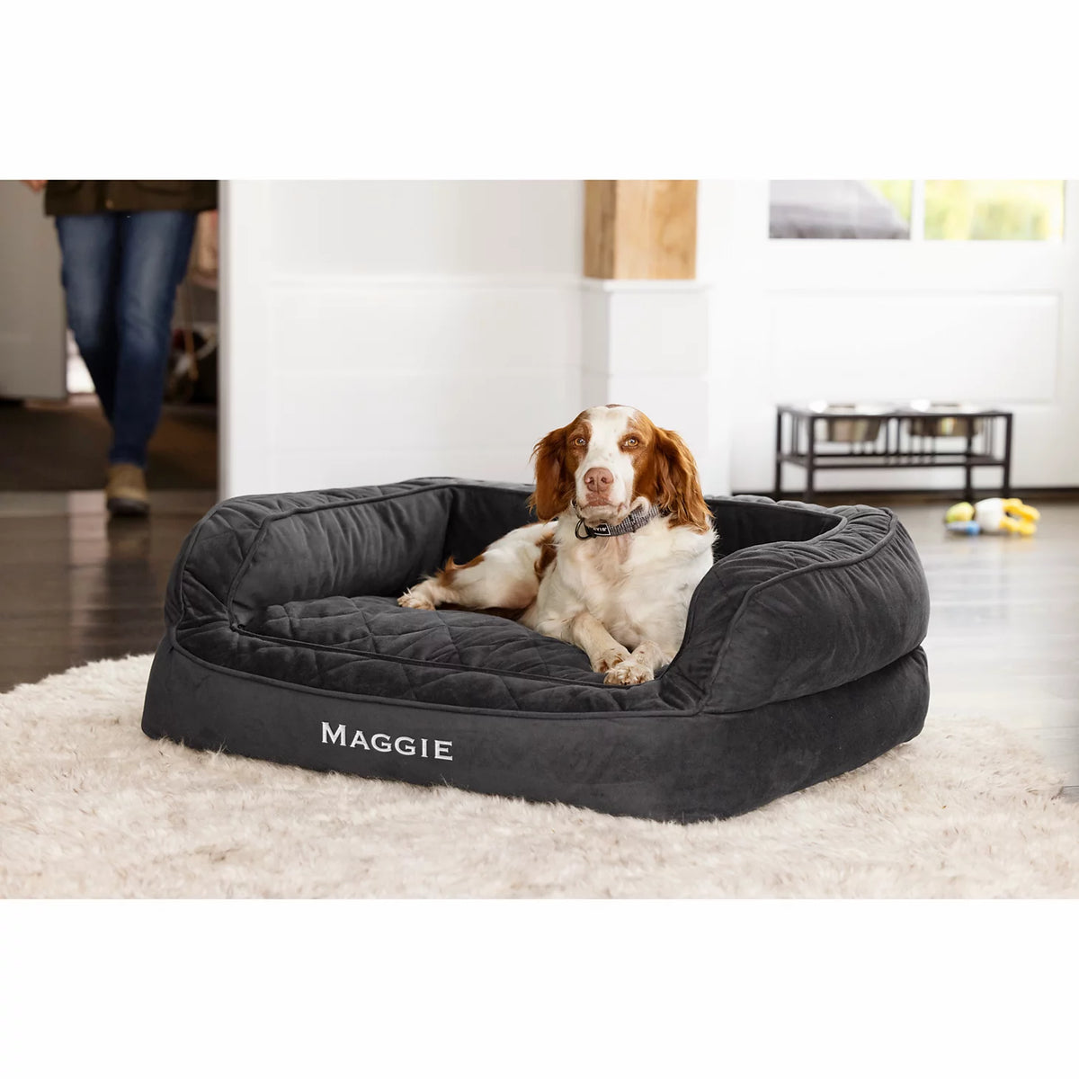 Orvis Memory Foam Deluxe Dog Bed - Orvis Best Seller