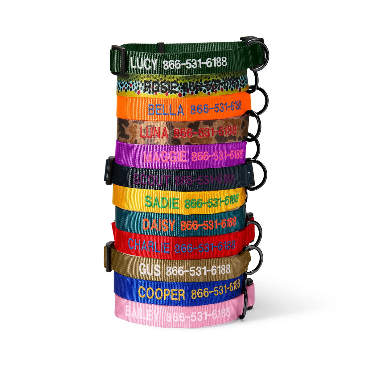 Personalized Side-Release Buckle Collar - Orvis Quality