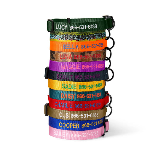 Personalized Side-Release Buckle Collar - Orvis Quality