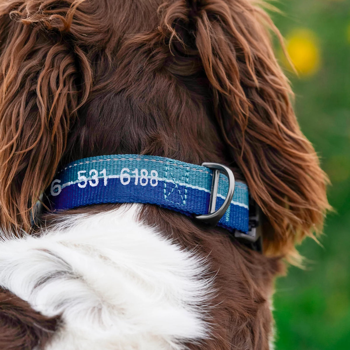 Tough Trail® Collar 2.0 - Orvis Smart Buy