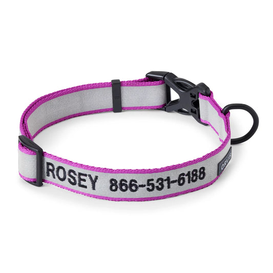 Orvis Personalized Reflective Dog Collar - Orvis Premium