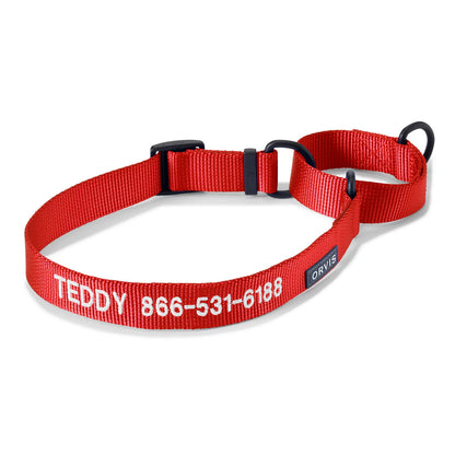 Orvis Martingale Collar & Leash Bundle - Orvis Customer Favorite