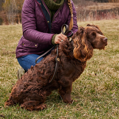 Shotshell Dog Collar - Orvis Classic