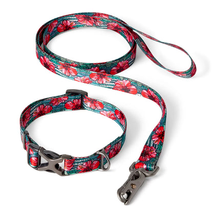 Orvis x Fishe® Wear Collar - Orvis Sale