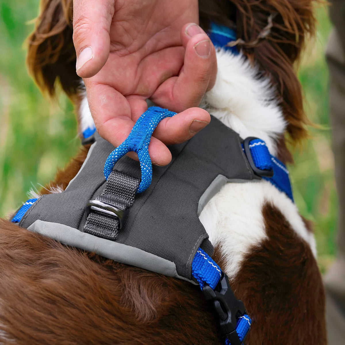 Tough Trail® Four-Point Dog Harness - Orvis Value