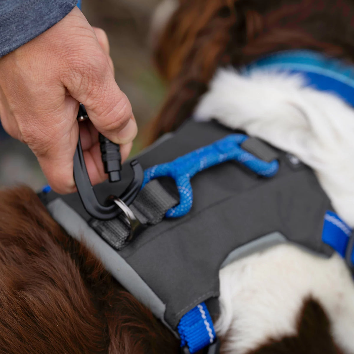 Tough Trail® Four-Point Dog Harness - Orvis Value