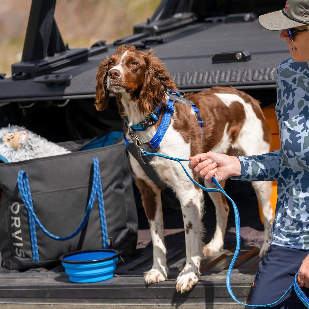Tough Trail® Four-Point Dog Harness - Orvis Value