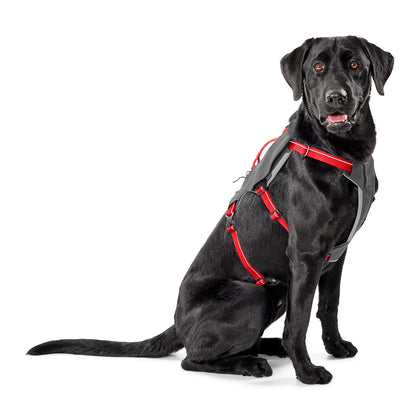 Tough Trail® Six-Point Dog Harness - Orvis Best Seller