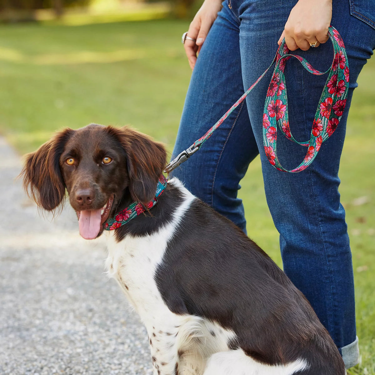 Orvis x Fishe® Wear Dog Leash - Orvis Discount