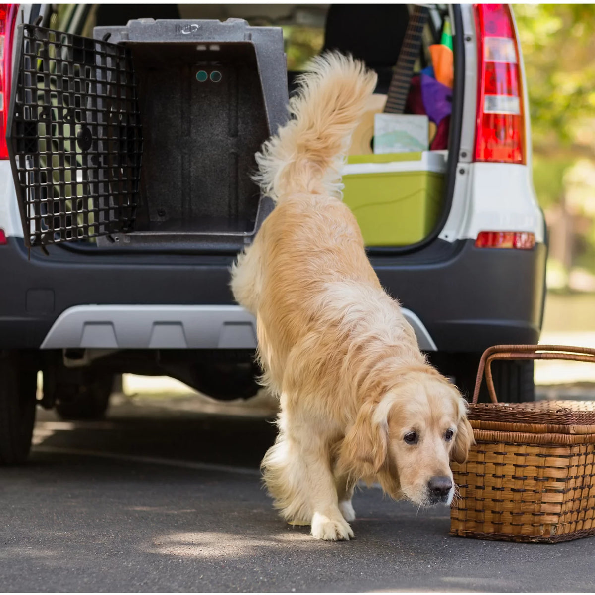 Ruff Land™ Performance Dog Kennel - Orvis Trending
