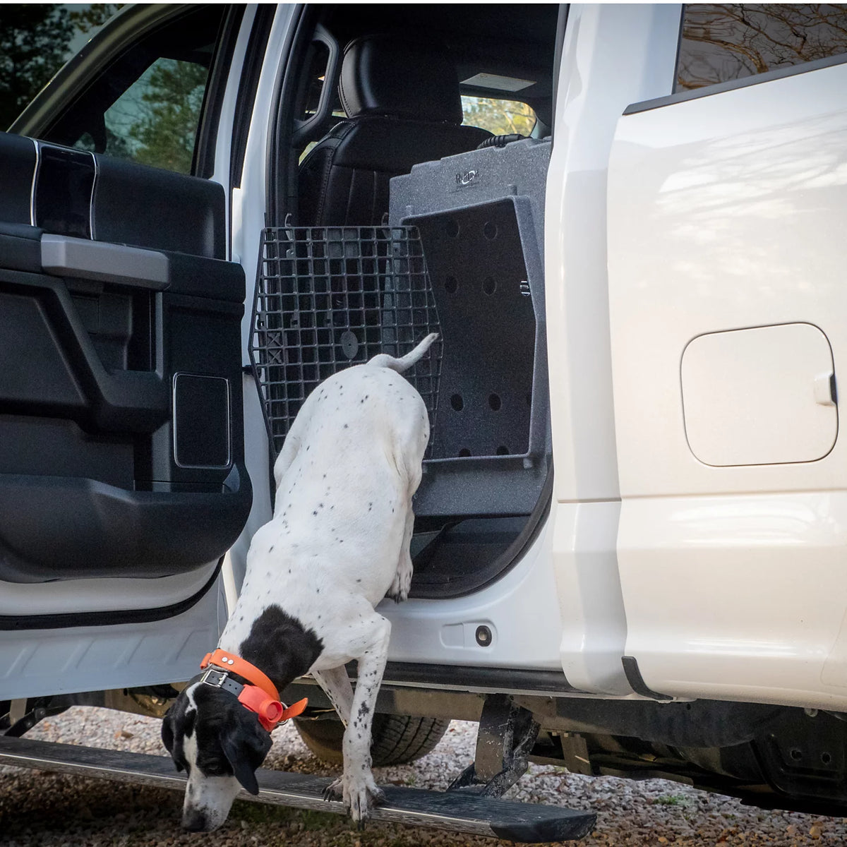 Ruff Land™ Performance Dog Kennel - Orvis Trending