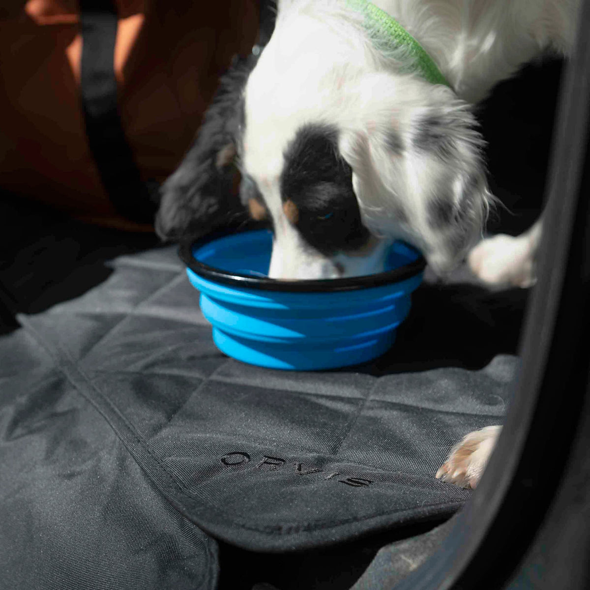 Tough Trail® Collapsible Dog Bowl - Orvis Premium