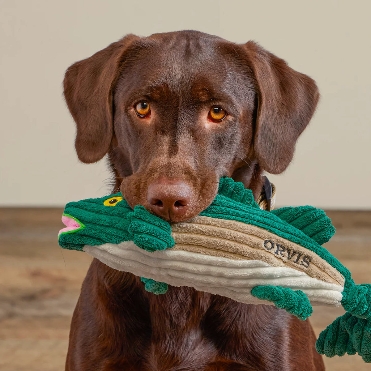 Animal Squeaky Toys - Orvis Trusted