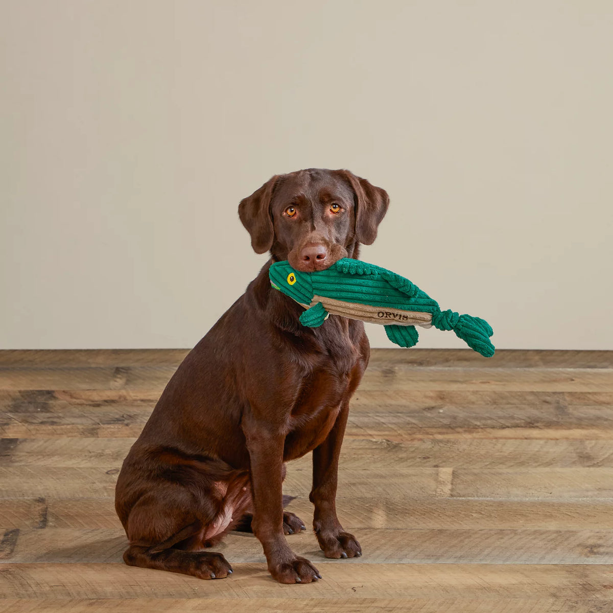 Animal Squeaky Toys - Orvis Trusted
