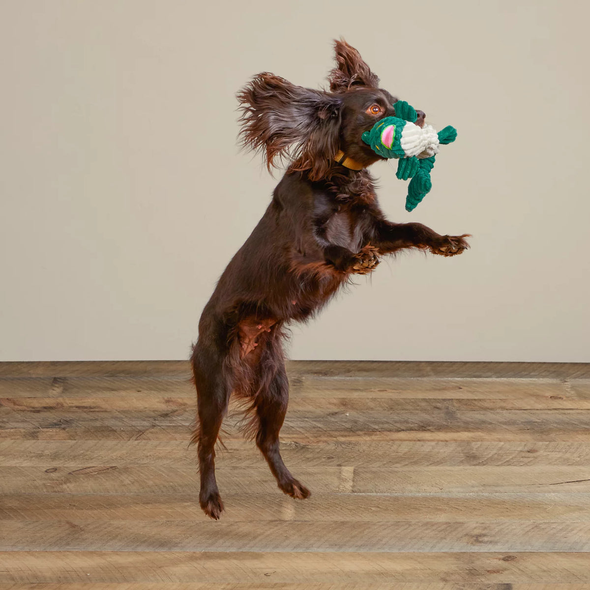 Animal Squeaky Toys - Orvis Trusted