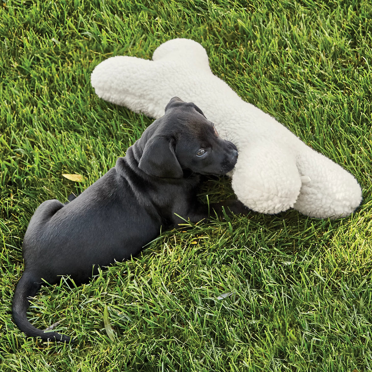 Fleece Dog Bone - Orvis Trending