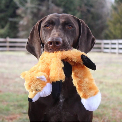 Stuffless Fox Dog Toy - Orvis Trending