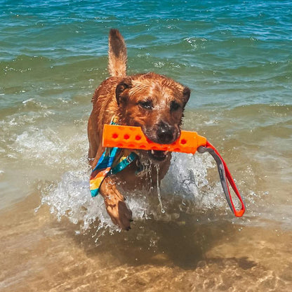 Hydro Floating Dog-Training Bumper - Orvis Latest