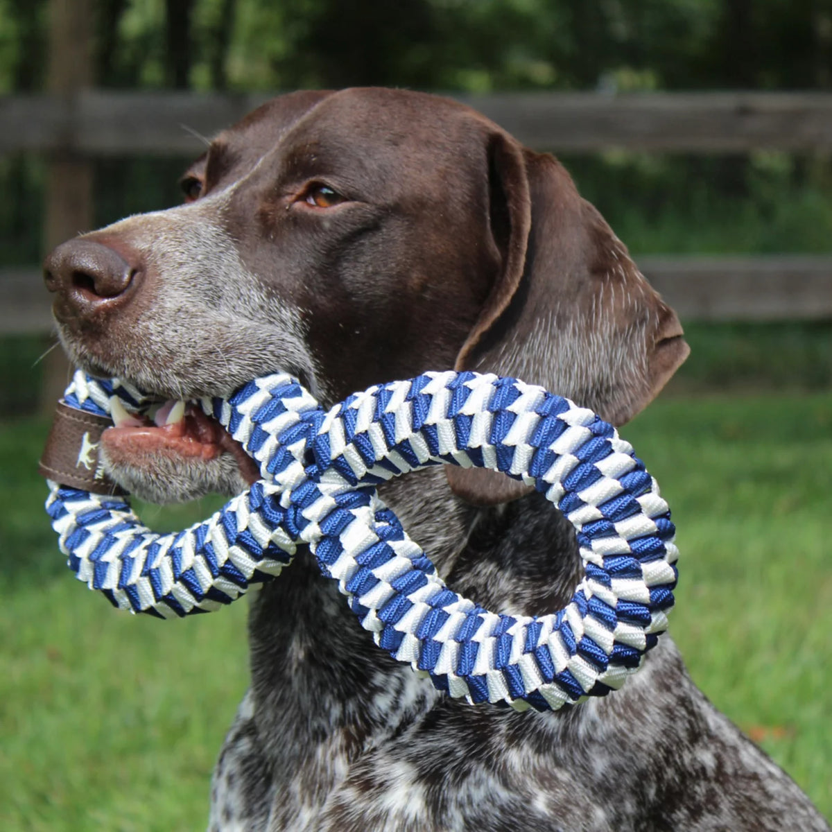 Infinity Braided Dog Toy - Orvis Deals