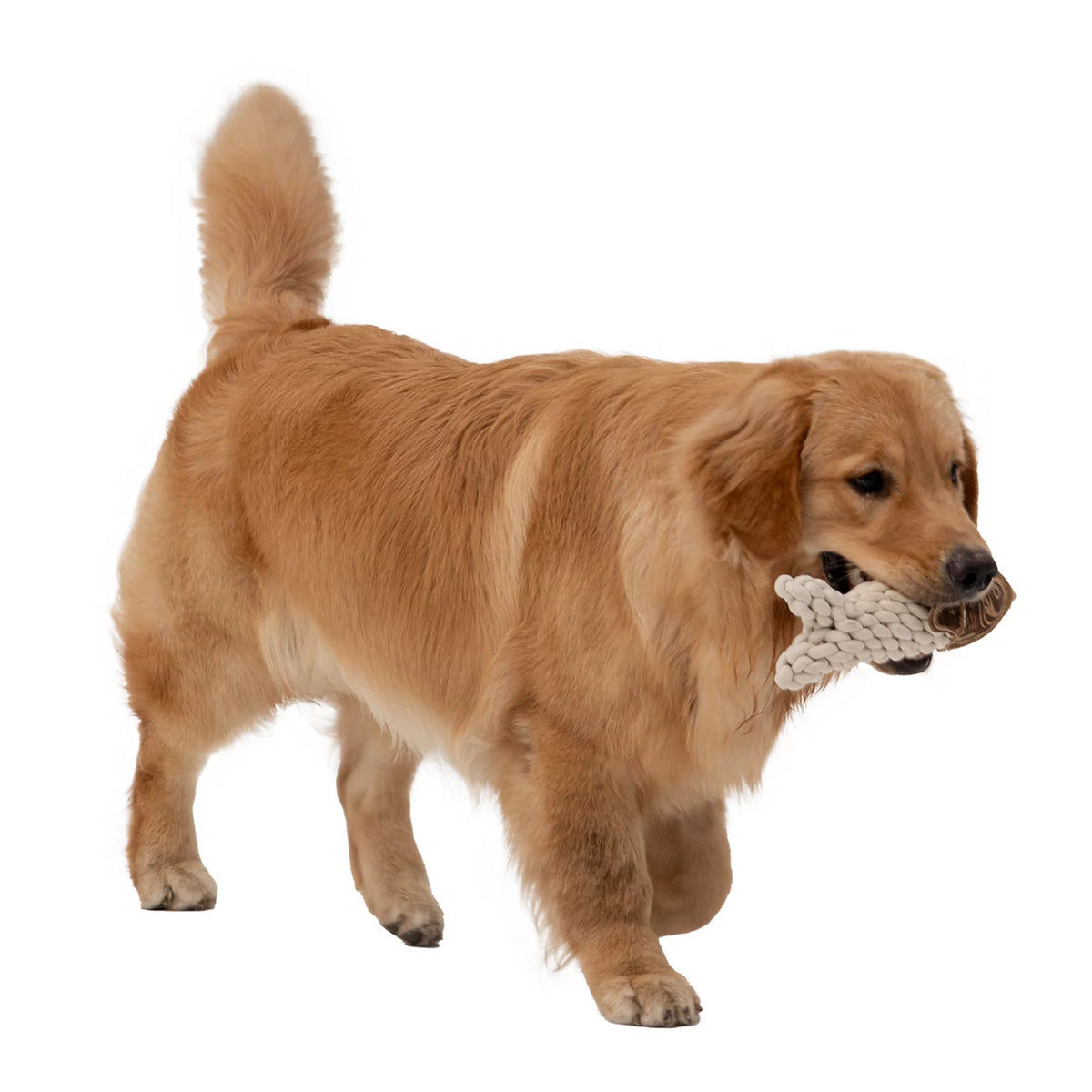 Rope Crunch Fish Dog Toy - Orvis Best Price