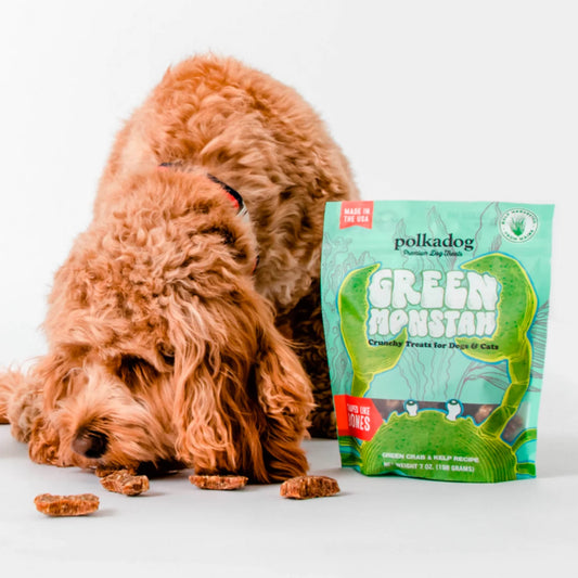Polkadog Green Monstah Bones - Orvis Latest