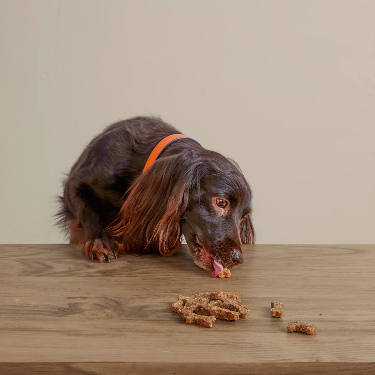 Polkadog Green Monstah Bones - Orvis Latest