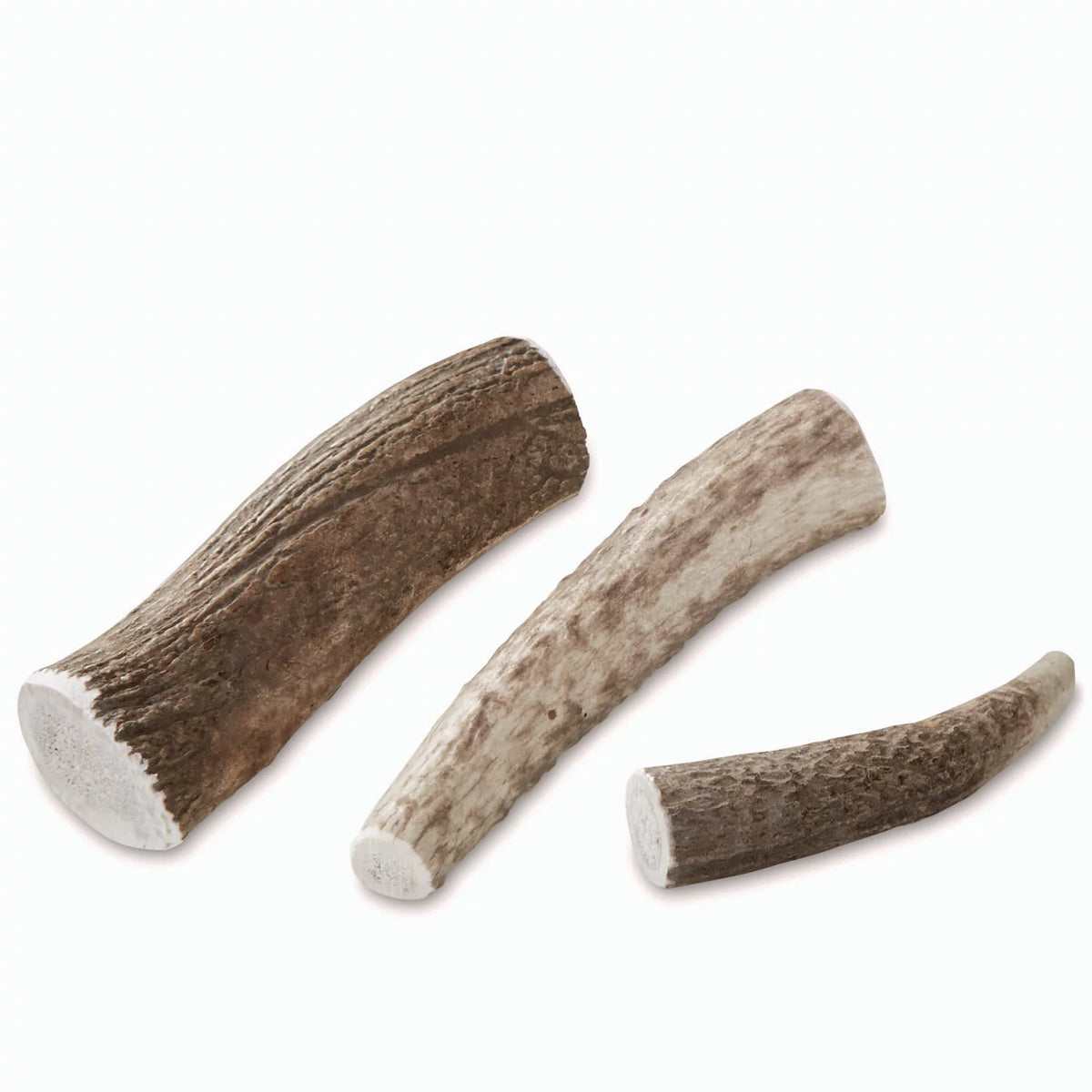 Elk Antler Chews - Orvis Signature