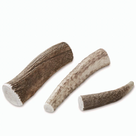 Elk Antler Chews - Orvis Signature