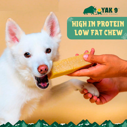 Yak-9 Dog Chew - Single - Orvis Essential