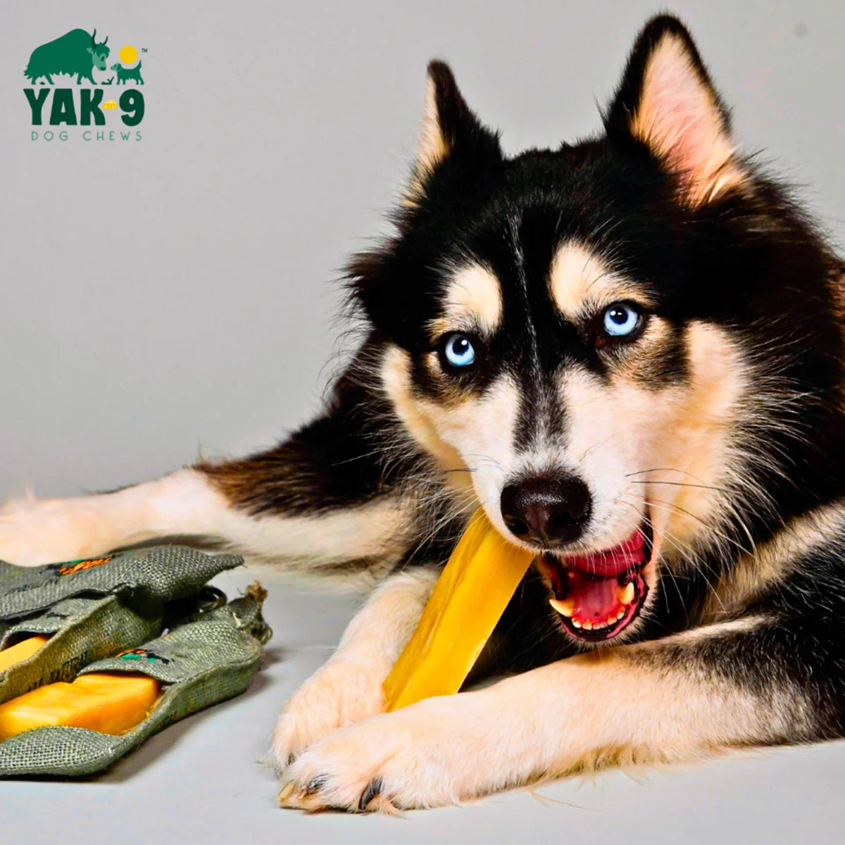 Yak-9 Dog Chew - Single - Orvis Essential