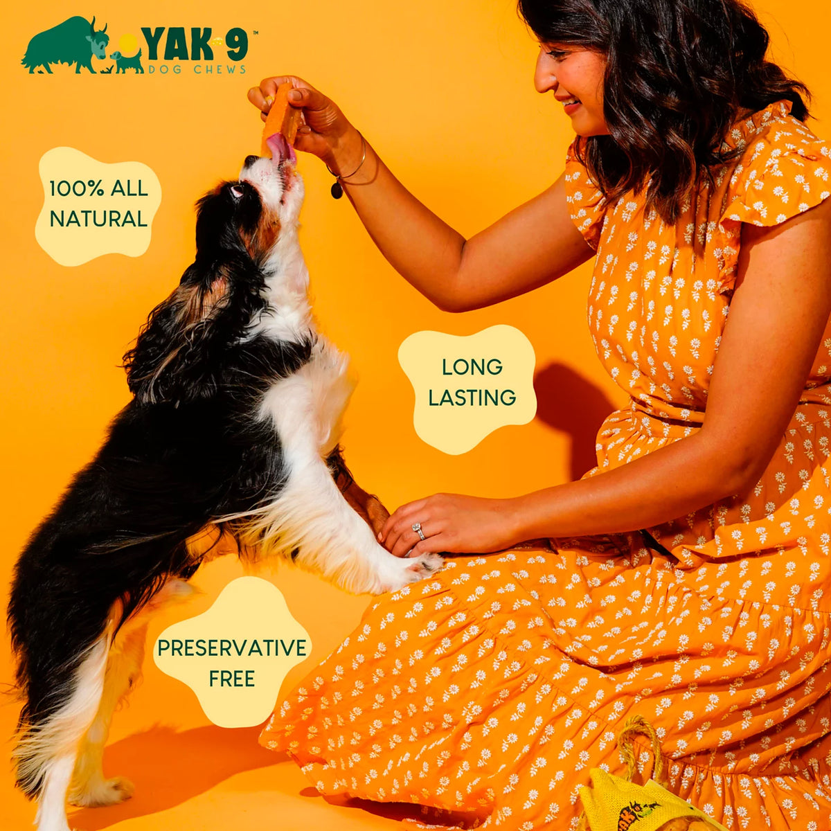 Yak-9 Dog Chew - Single - Orvis Essential