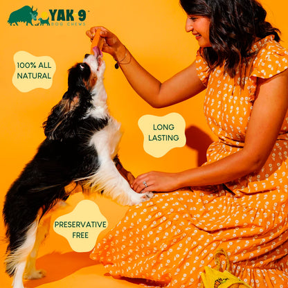 Yak-9 Dog Chew - Single - Orvis Essential