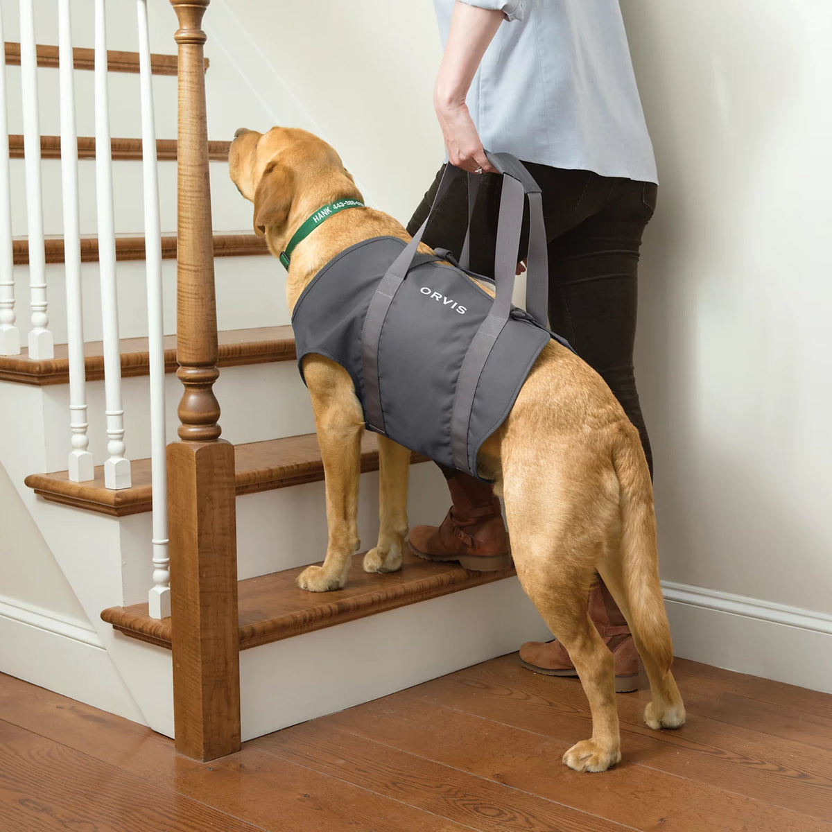 Dog Lift - Orvis Popular