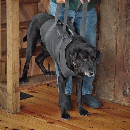 Dog Lift - Orvis Popular