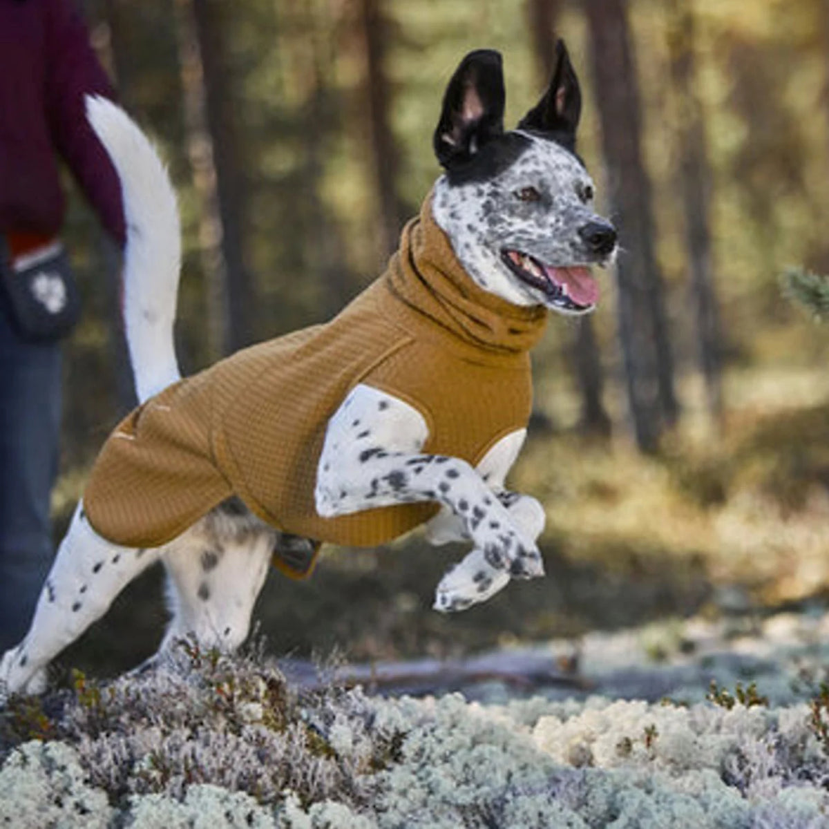 Hurtta Warming Midlayer Eco Dog Jacket - Orvis Latest
