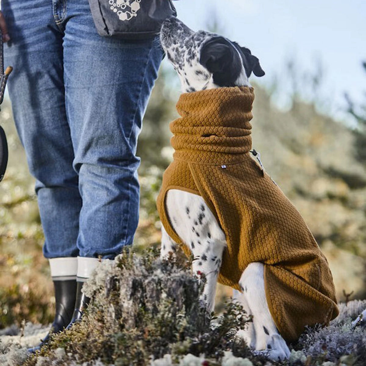 Hurtta Warming Midlayer Eco Dog Jacket - Orvis Latest